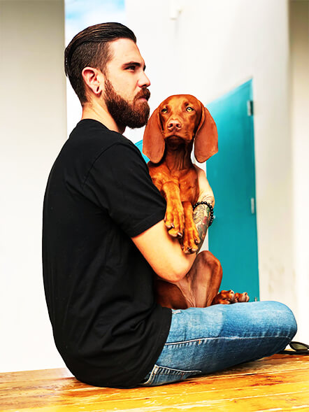 Curso de Medicina Veterinária UNIAENE